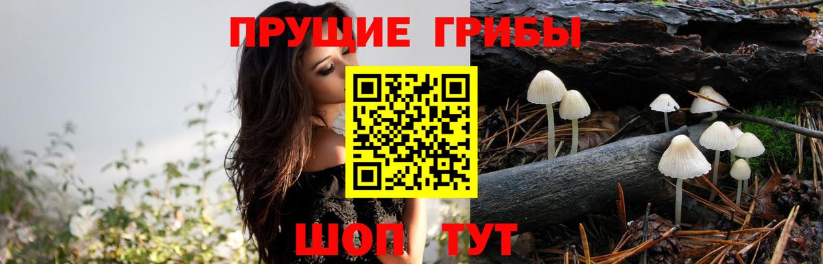 ГЕРОИН Тольятти